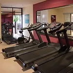 Falconara & 4* Ликата